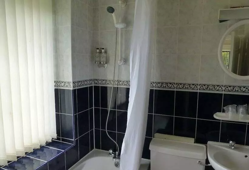 فندق Maes Manor Country