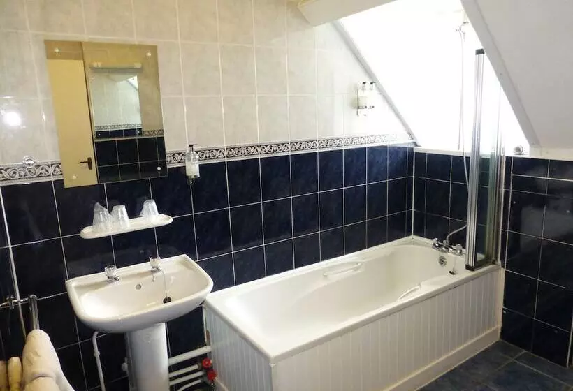 فندق Maes Manor Country