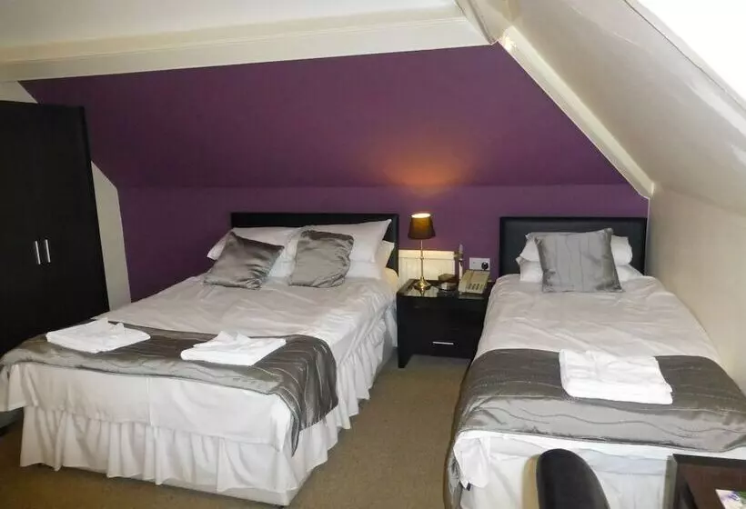 فندق Maes Manor Country