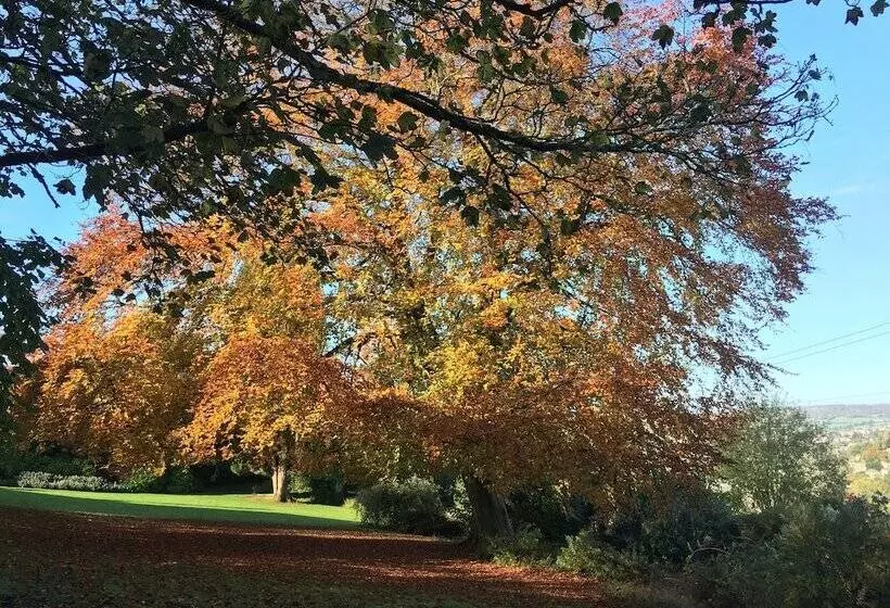 فندق Burleigh Court