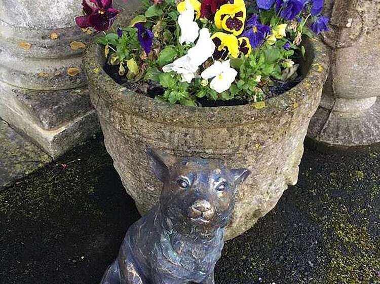 فندق Burleigh Court