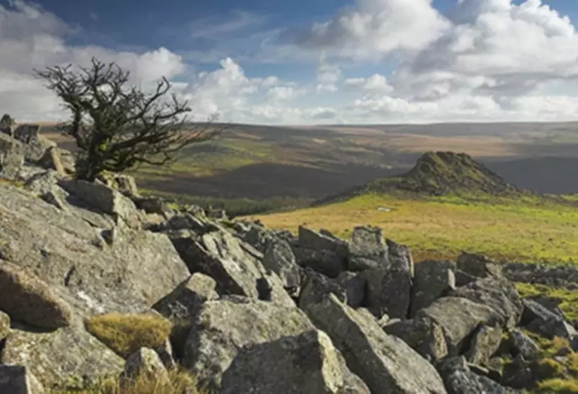 酒店 Collaven Manor