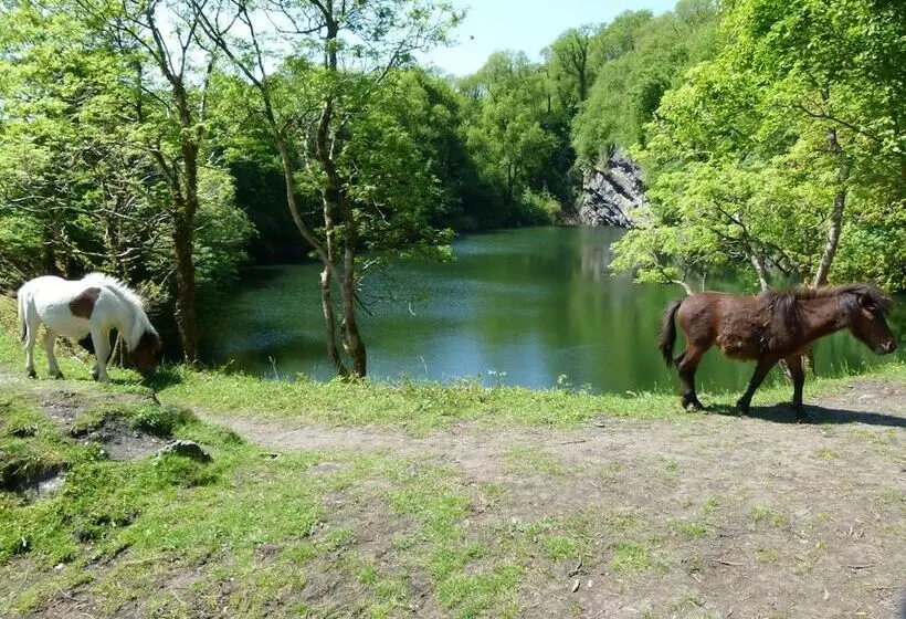 酒店 Collaven Manor