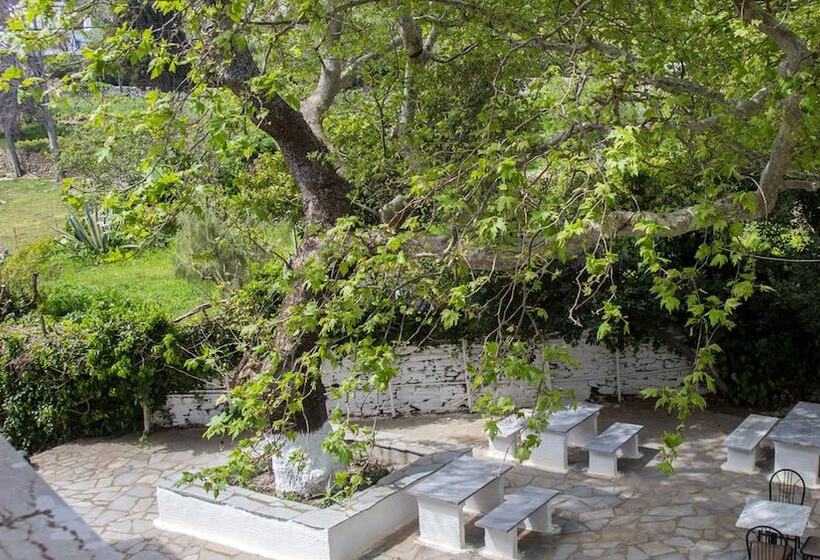 בית מלון כפרי Sariza Spring