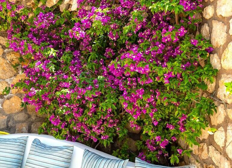 هتل La Floridiana