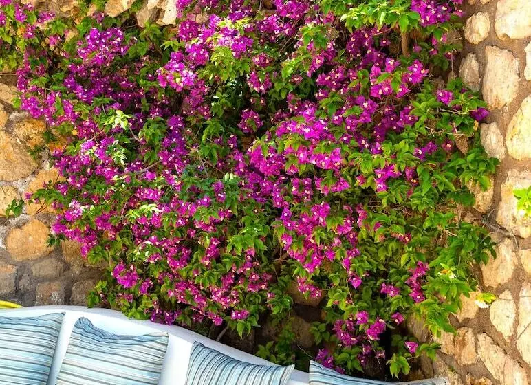 ホテル La Floridiana