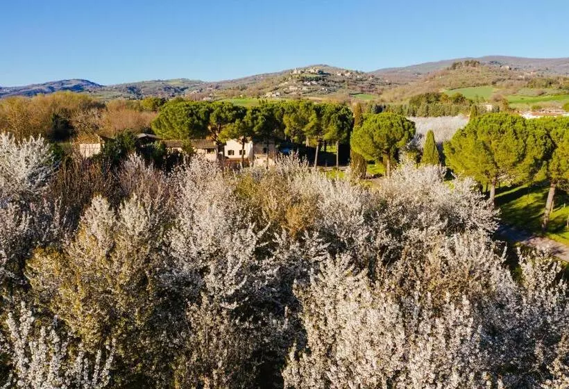 فندق La Torretta