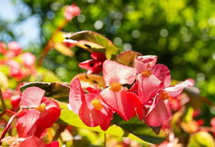 בית מלון כפרי Villa Elisa & Spa