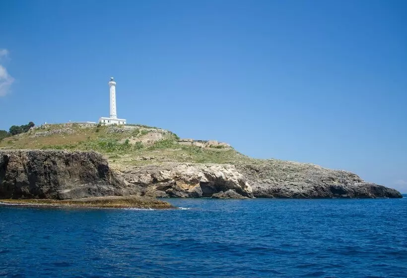 Terminal   Caroli Hotels