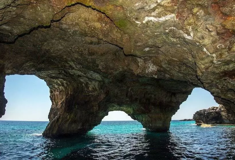 Terminal   Caroli Hotels