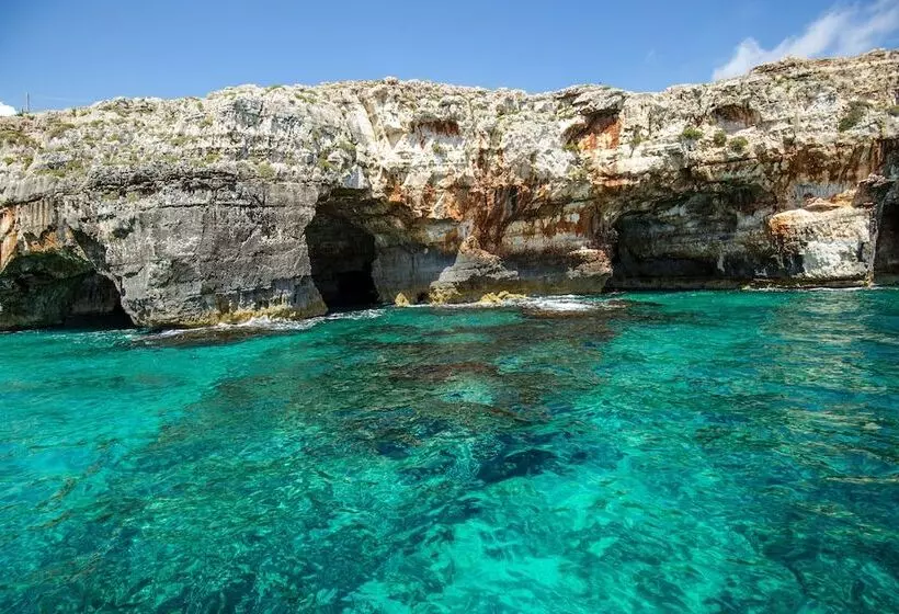 Terminal   Caroli Hotels