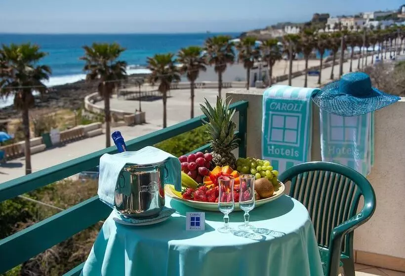 Terminal   Caroli Hotels