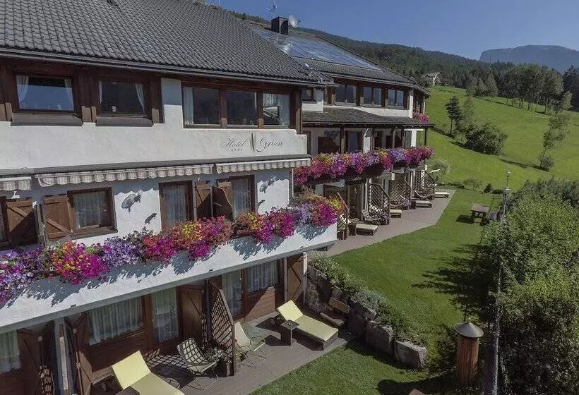 Отель Grien