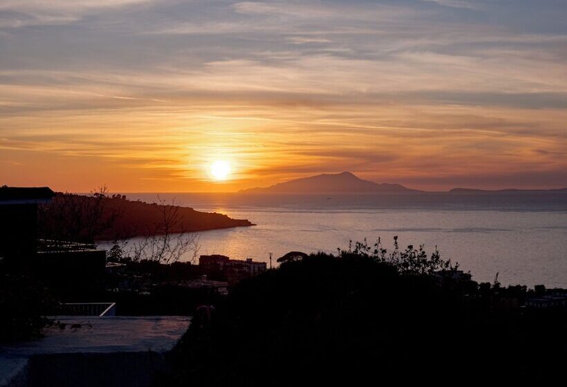 בית מלון כפרי Cristina