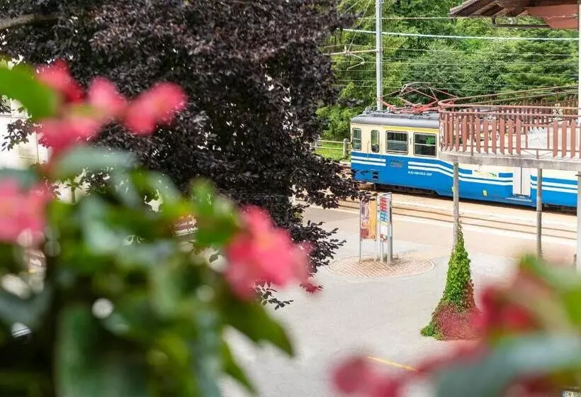 Отель Ristorante Miramonti