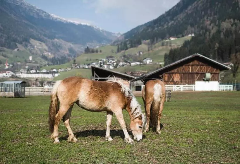 Отель Stroblhof Active Family Spa Resort