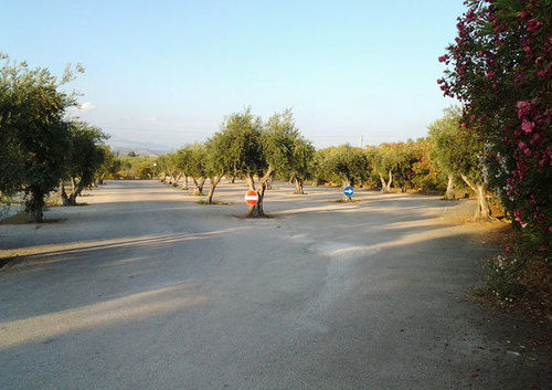Szálloda Torre Macauda
