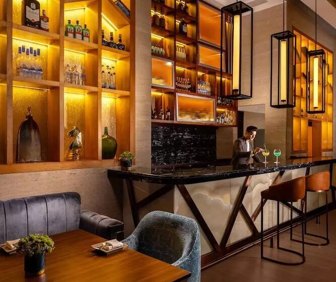 فندق Jaypee Vasant Continental