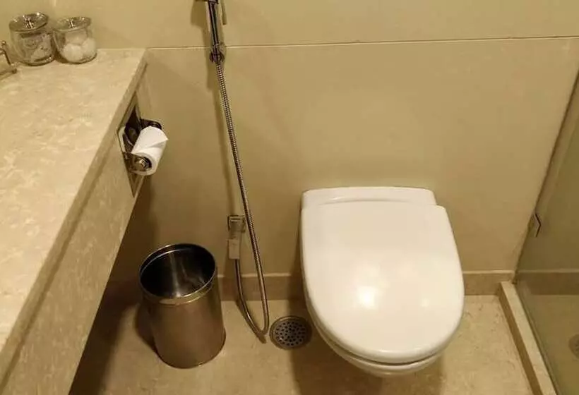 فندق Jaypee Vasant Continental