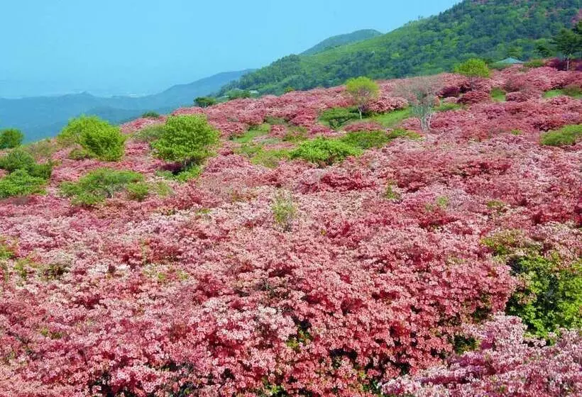 호텔 Pearl City Kesennuma