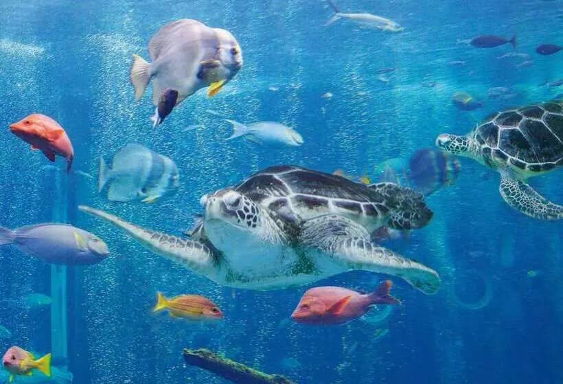 酒店 The Prince Hakone Lake Ashinoko