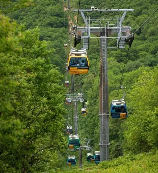 فندق Mona Yongpyong