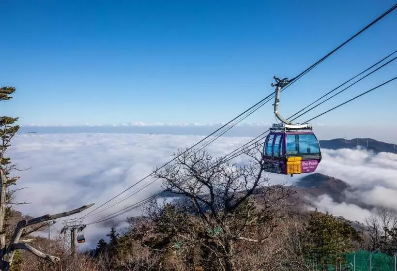 فندق Mona Yongpyong