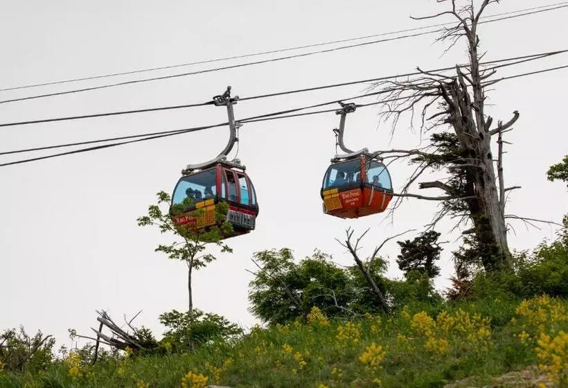 فندق Mona Yongpyong