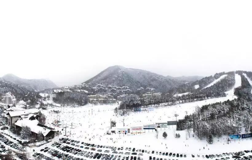 فندق Mona Yongpyong