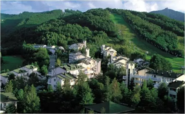 فندق Mona Yongpyong