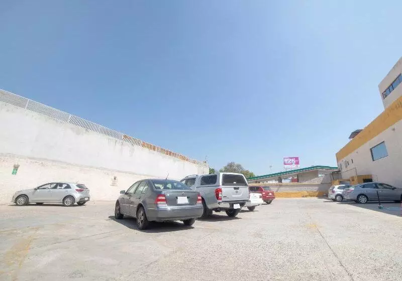 酒店 Casa Real Celaya