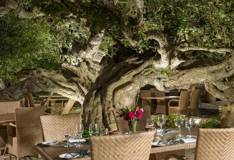 ホテル Ta' Cenc & Spa