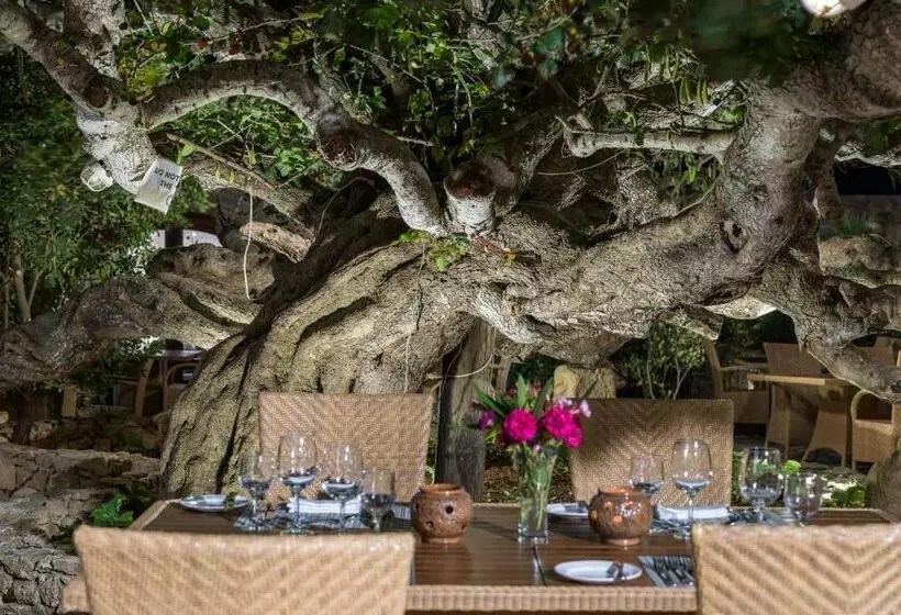 ホテル Ta' Cenc & Spa