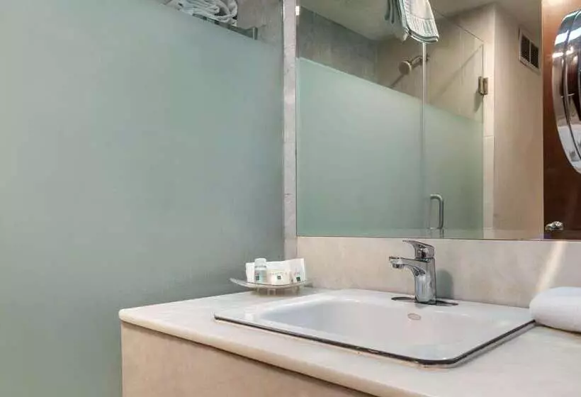 Quality Inn & Suites Saltillo Eurotel