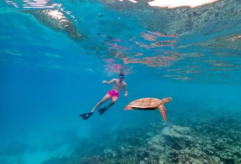 استراحتگاه Eri Maldives