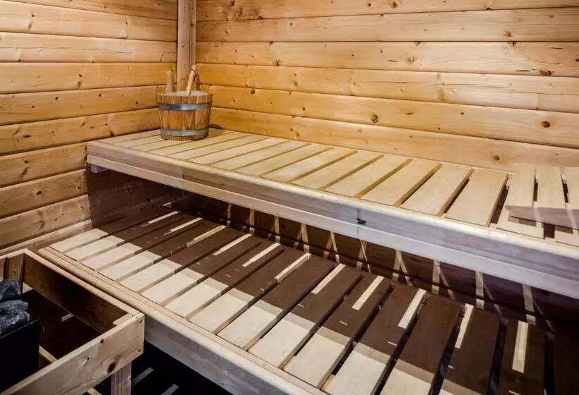 酒店 Holiday Inn Eindhoven Centre, An Ihg