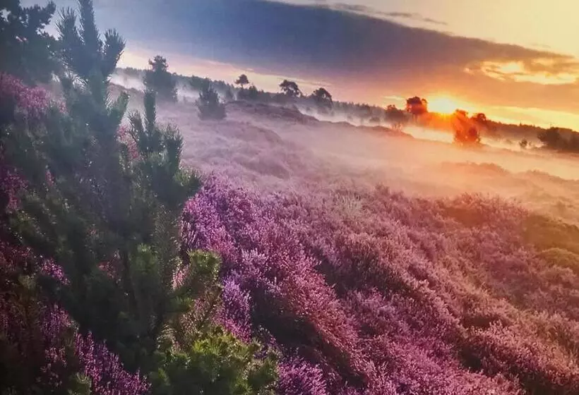 בית מלון כפרי Restaurant Talens Coevorden