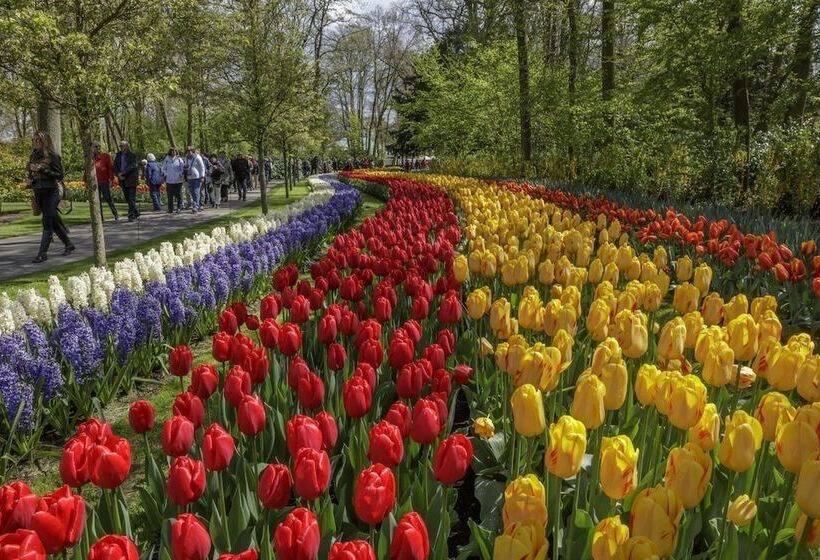 Van Der Valk Hotel Sassenheim   Leiden