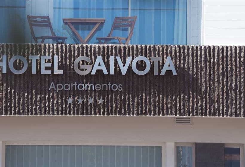 Gaivota Azores