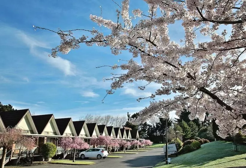 Отель Ascot Park