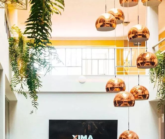 בית מלון כפרי Xima Central Tacna