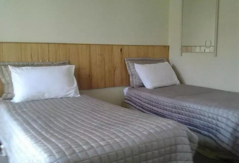 汽车旅馆 Avondale Motor Inn