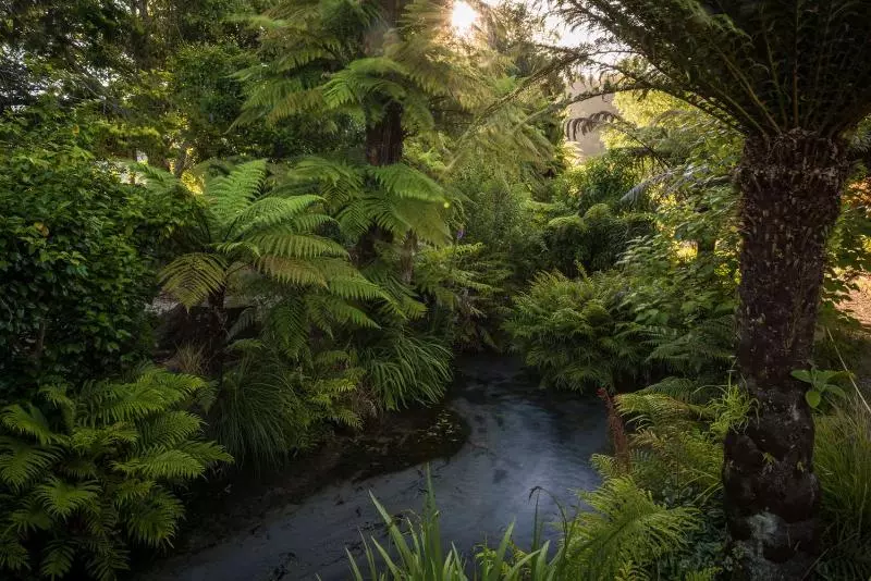 Kurort Ripple Rotorua
