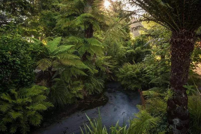 Kurort Ripple Rotorua