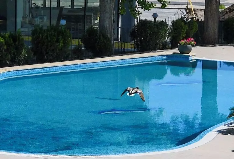 호텔 Complex Modern Mamaia All Inclusive