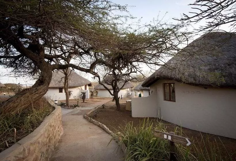 فندق Ubizane Wildlife Reserve