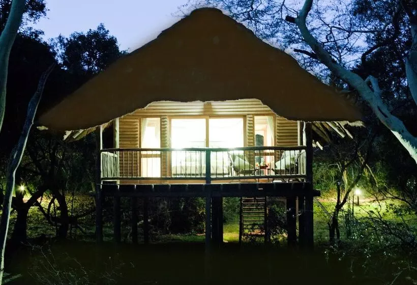 فندق Ubizane Wildlife Reserve