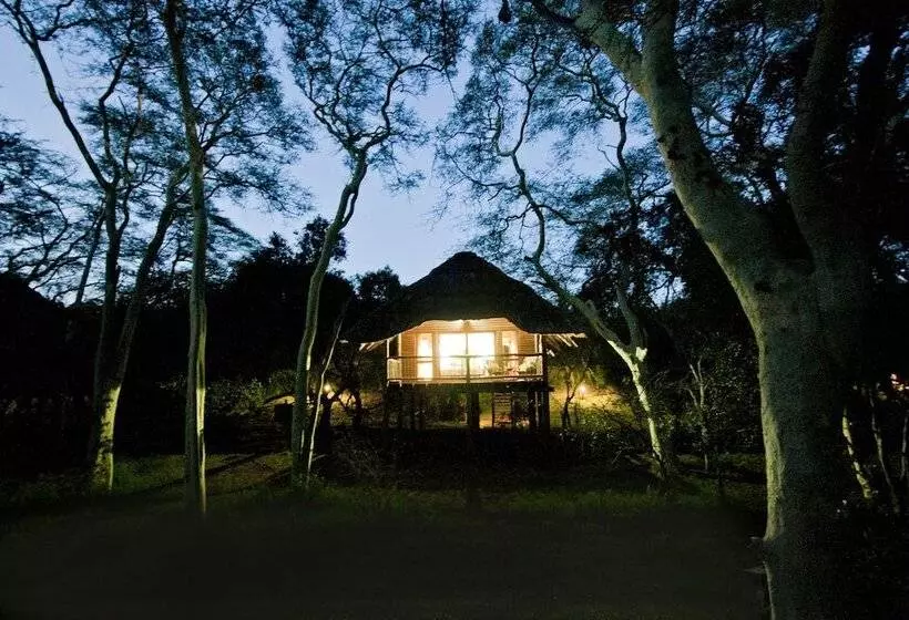 فندق Ubizane Wildlife Reserve