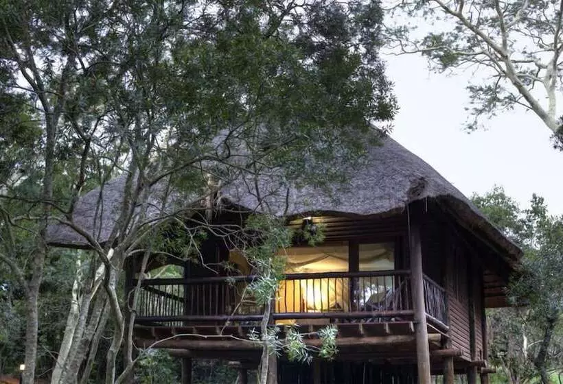 فندق Ubizane Wildlife Reserve