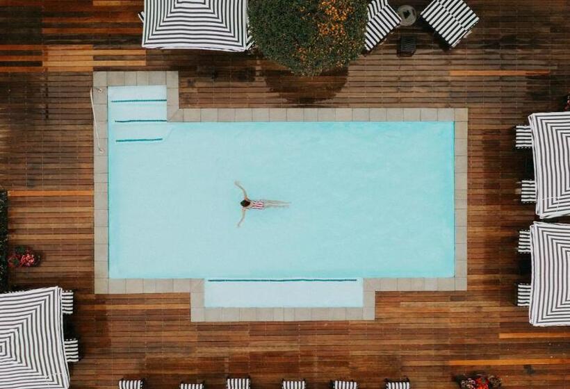 The Winchester Hotel By Newmark